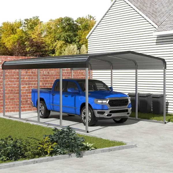 12 ft. W x 20 ft. D Metal Carport, Car Canopy, and Shelter