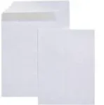 AmazonBasics Catalog Mailing Envelopes