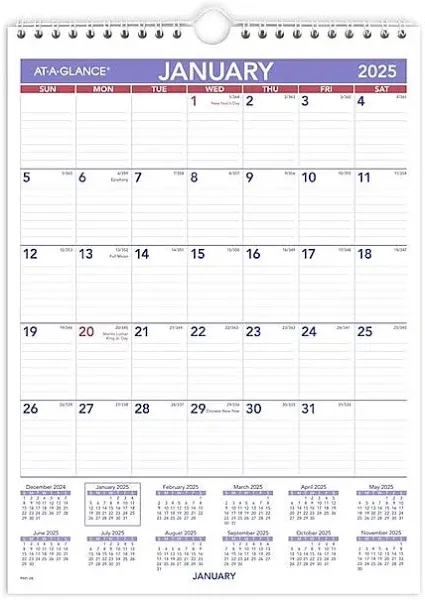 AT-A-GLANCE Monthly Wall Calendar