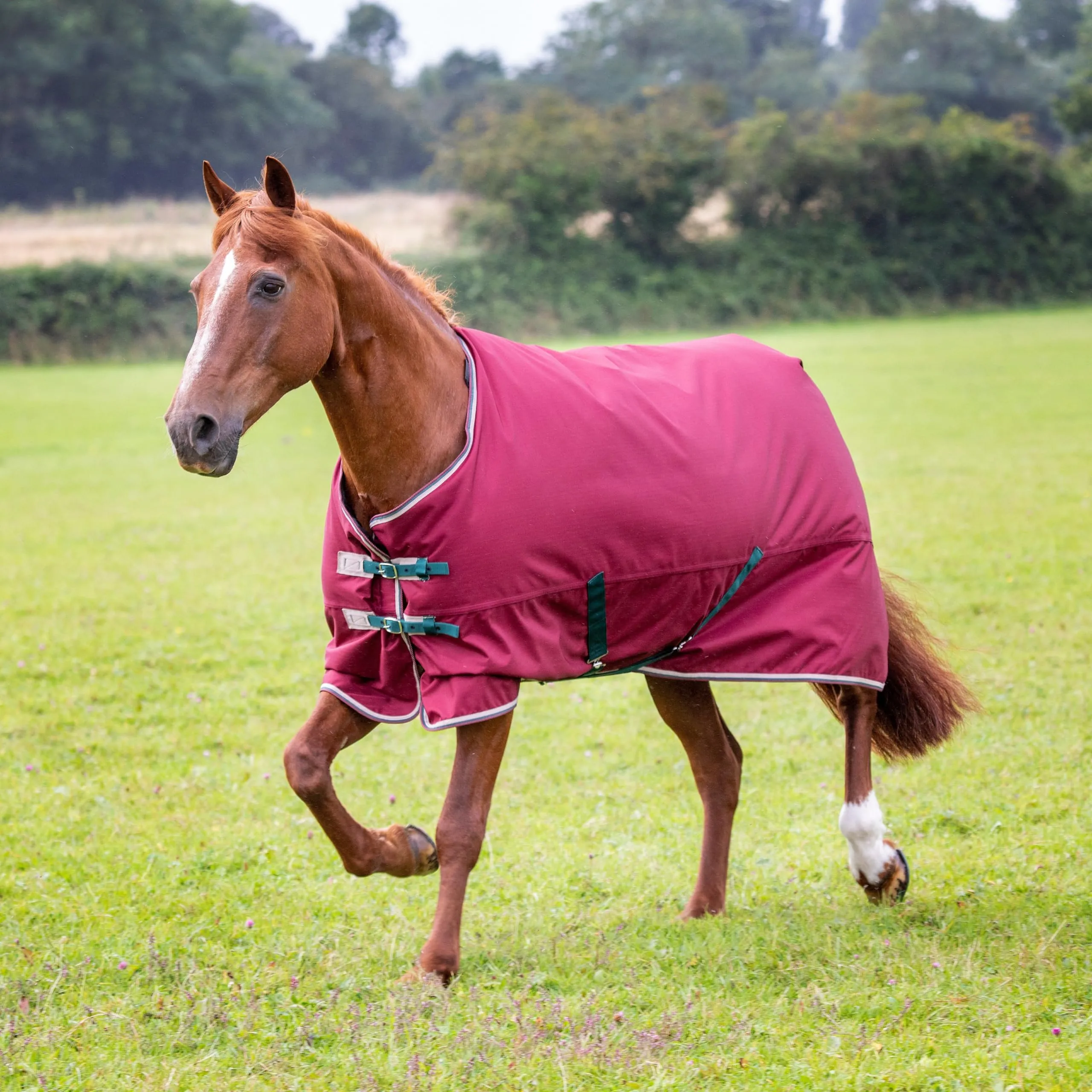 Shires Tempest Original 600 Denier Turnout Blanket - 200 Grams Fill