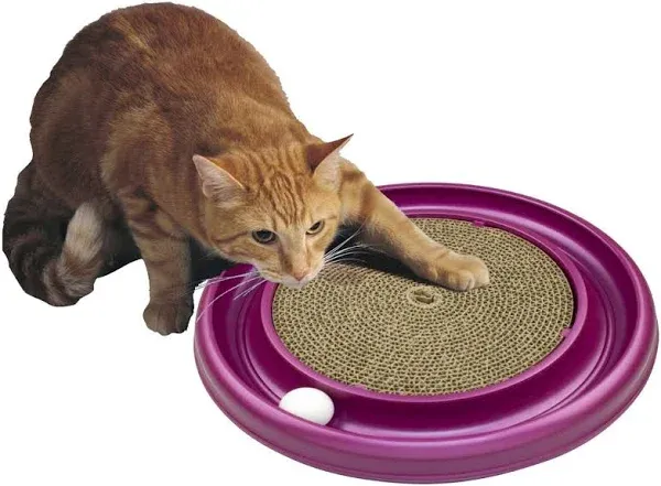 Bergan Turbo Scratcher Cat Toy Assorted 16&#034; x 16&#034; x 1.88&#034; BER-70128