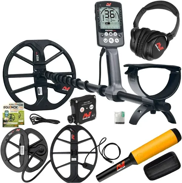 Minelab Equinox 800 Metal Detector