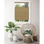 Cordless Cellular Pleated Window Shades - 23 Inch Width, 64 Inch Length - Dove Grey - Light Filtering Top-Down Honeycomb Pull Down Blinds for Windows and Skylights by Achim Home Decor