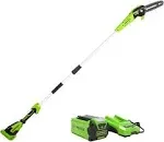 Greenworks PS40B210 8-Inch 40V Cordless Pole Saw