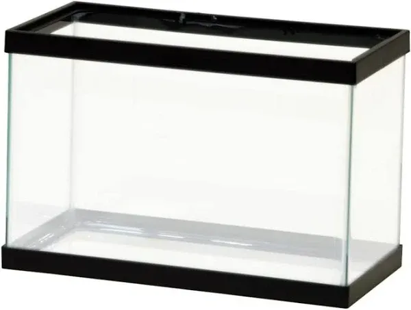 Aqueon Standard Glass Rectangle Aquarium, Black-Clear Silicone