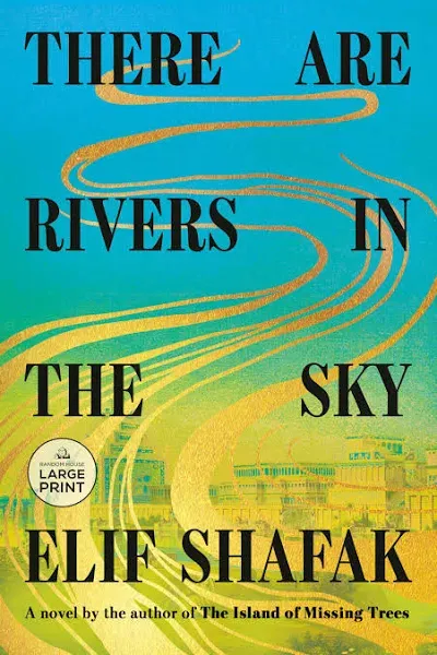 There Are Rivers in the Sky: A Novel