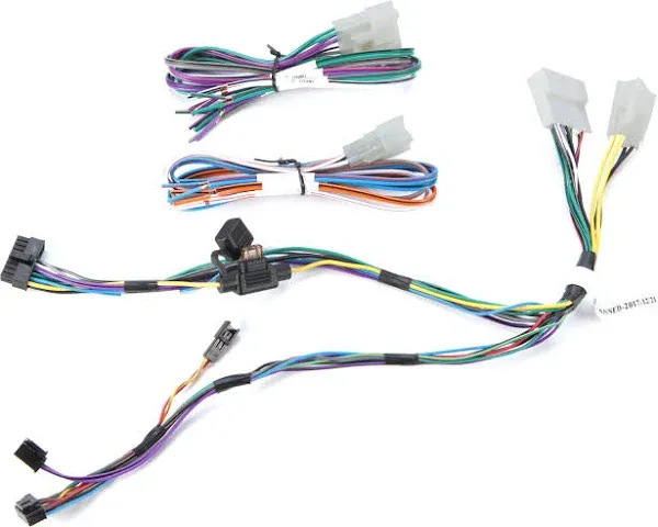 Maestro Amplifier Replacement T-Harness