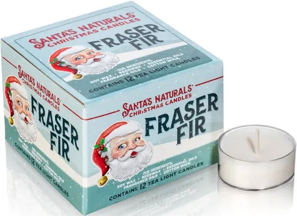 Frasier Fir Tealight Candles - Box of 12