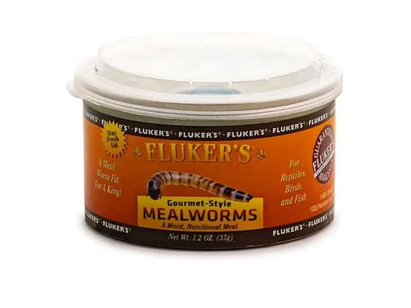 Flukers Gourmet Style Mealworms