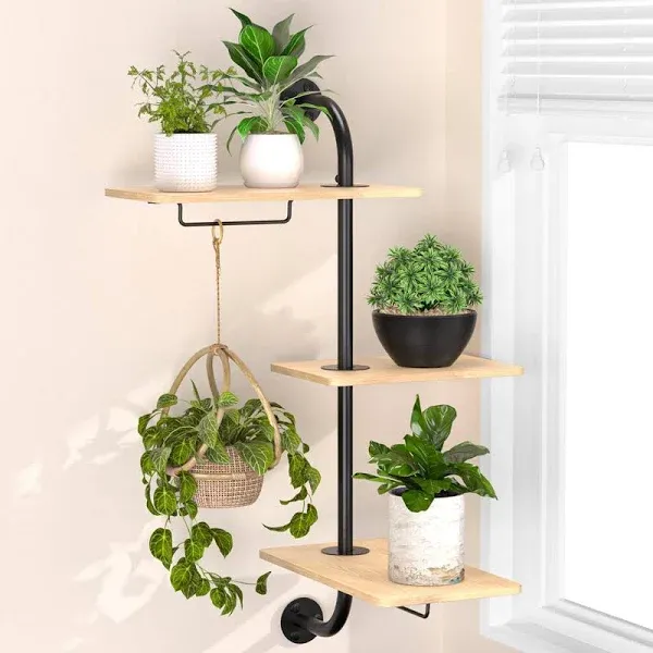 17 Stories Window Plant Shelves 3-Tier Rotating Plant Shelf Stand