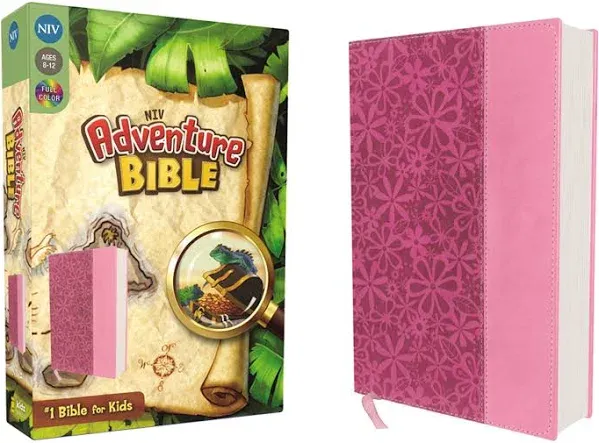 NIV, Adventure Bible, Full Color Interior