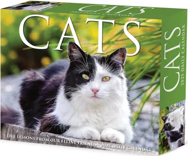 Willow Creek Press Cats 2025 Desk Calendar