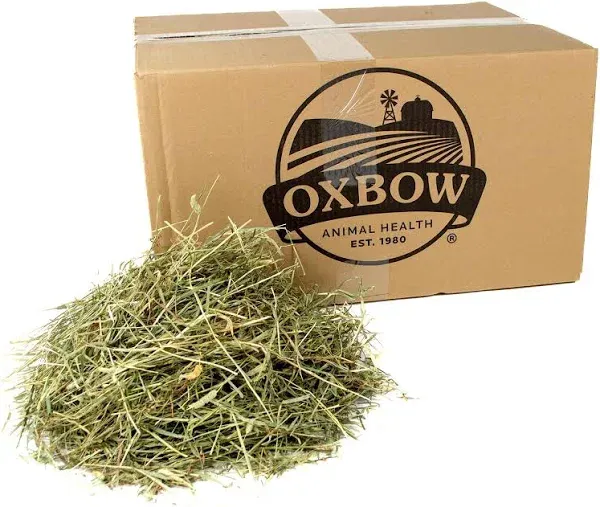 Oxbow - Western Timothy Hay 40-oz