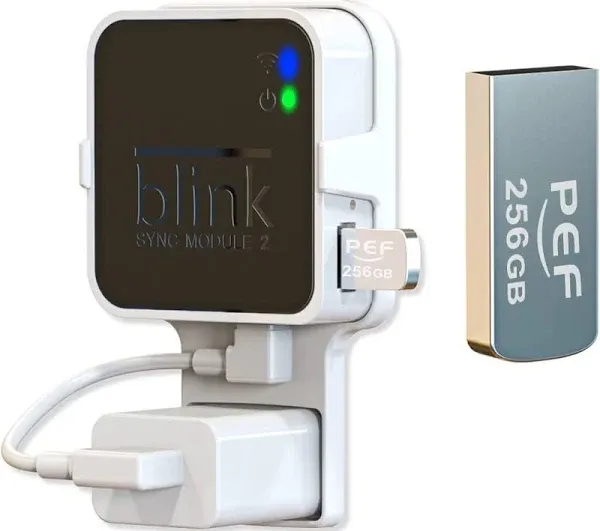 256GB Blink USB Flash Drive for Local Video Storage and The Outlet Mount for Bli