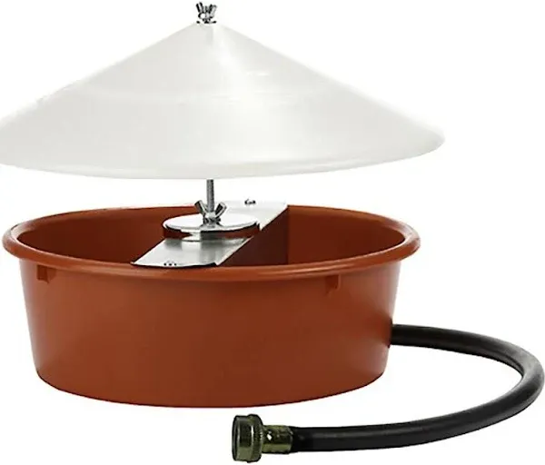 Little Giant Automatic Poultry Waterer