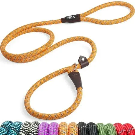 Fida Rope Slip Training Dog Leash