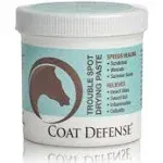 Coat Defense Trouble Spot Drying Paste - 10 oz