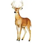 Collections Etc Realistic Deer Outdoor Metal Garden Stake Standing