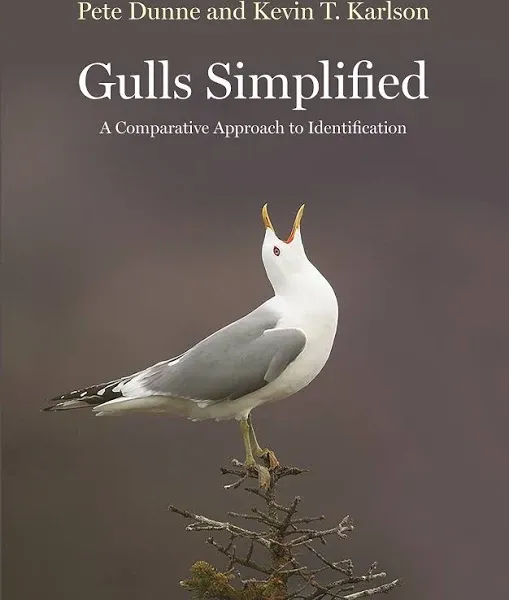 Gulls Simplified: A Comparative Approach to Identification