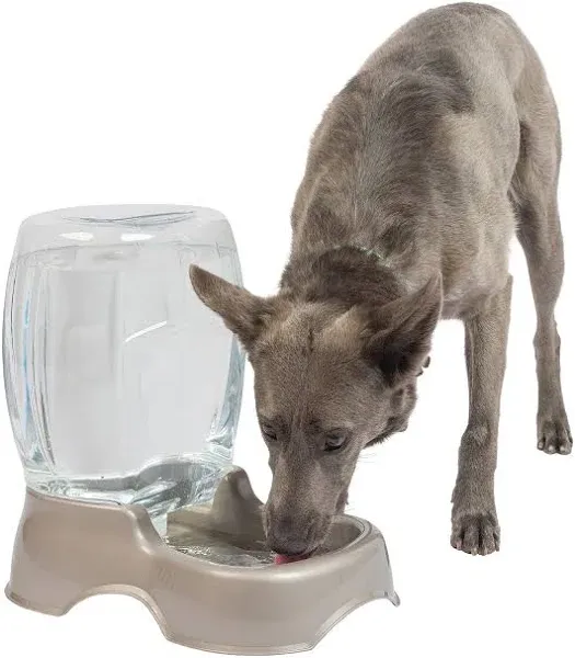 Petmate Cafe Pet Waterer