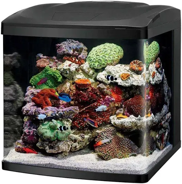 Coralife 32 Gallon LED BioCube Aquarium