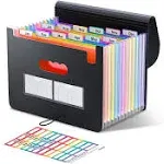 ThinkTex Accordian File Organizer 12 Pockets Expanding File Folders Portable Monthly Bill Receipt Organizer