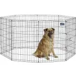 Midwest 8 Panel Exercise Pen - Black - 24x36 inch