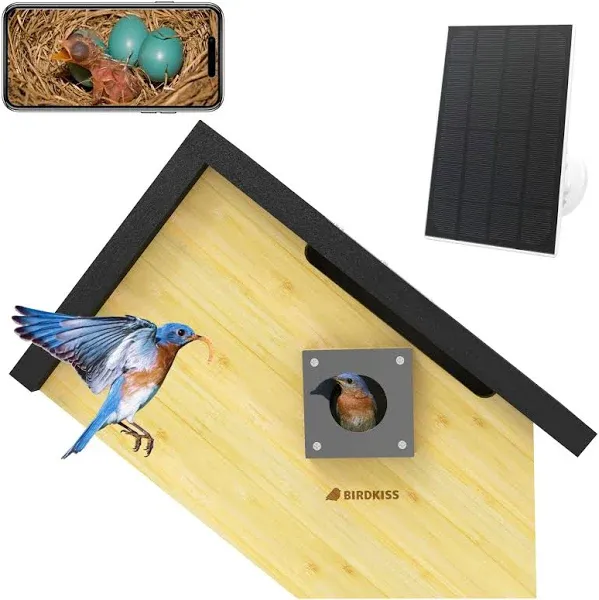 Birdkiss Smart Bird House with Camera