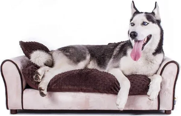 Keet Westerhill Pet Sofa Bed