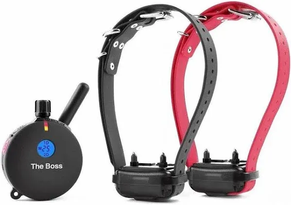 E-Collar Technologies Boss Educator Remote Dog Training Collar