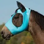 Weaver CoolAid Equine Lycra Fly Mask - Turquoise - Large