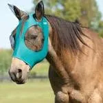 Weaver CoolAid Equine Lycra Fly Mask - Teal - Large