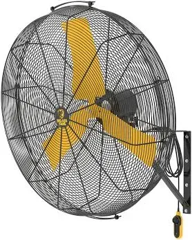 Big Ass Fans AirEye 36" Wall-Mounted Fan