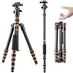 K&F Concept 60 inch Carbon Fiber Camera Tripod,Super Lightweight Compact Travel Tripod with 360 Degree Ball Head,Quick Release Plate,Detachable