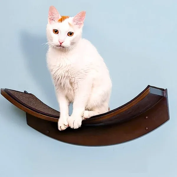 22 Inch Lotus Leaf Cat Shelf in Mahogany Brown with Replaceable Carpet, Playing,