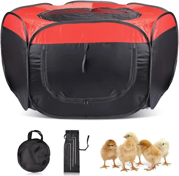 Tetuga Brooder Box Chick Starter Kit