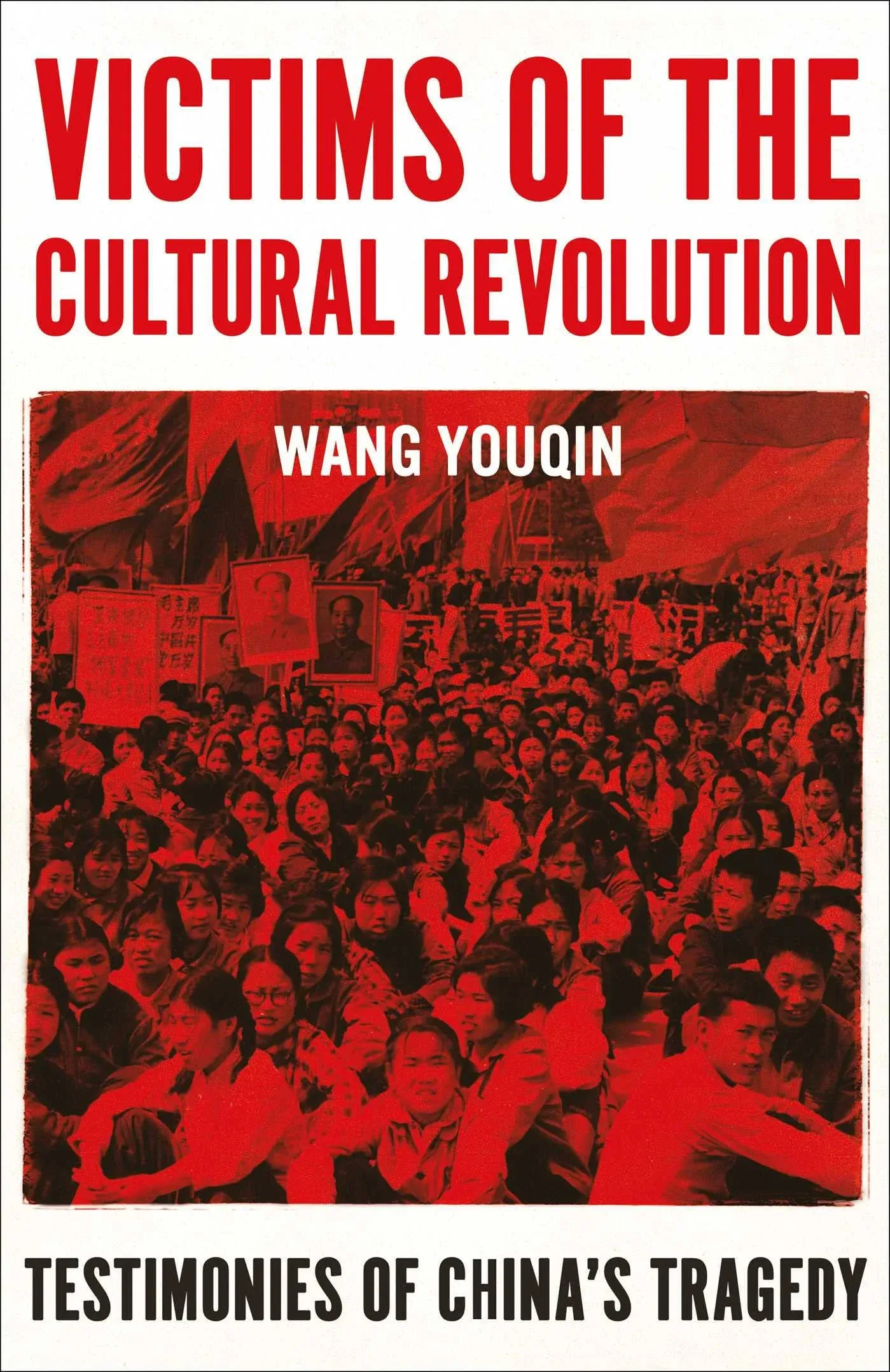 Victims of the Cultural Revolution: Testimonies of China's Tragedy