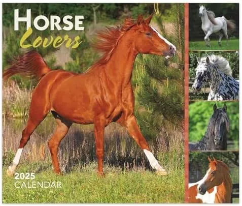 BrownTrout Horse Lovers Desktop Box Calendar