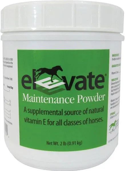 Elevate Maintenance Powder, Natural Vitamin E Supplement for Horses (2 lb) - [Supplement]