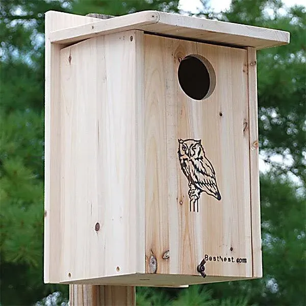 BestNest Premium Screech Owl / Kestrel House