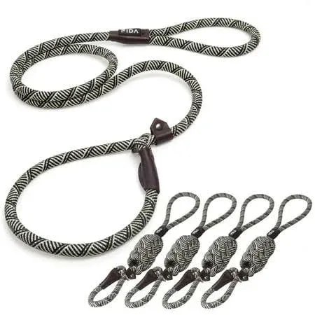 Fida Durable Slip Lead Dog Leash