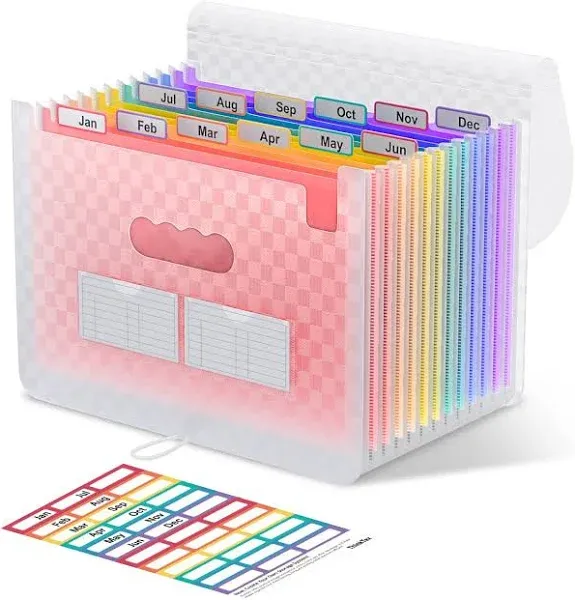 ThinkTex Accordian File Organizer 12 Pockets Expanding File Folders Portable Monthly Bill Receipt Organizer