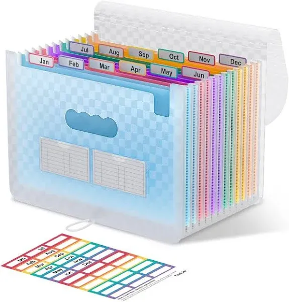 ThinkTex Accordian File Organizer 12 Pockets Expanding File Folders Portable Monthly Bill Receipt Organizer