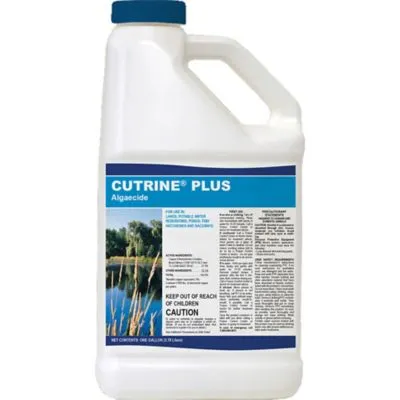 Cutrine Plus 1 Gallon