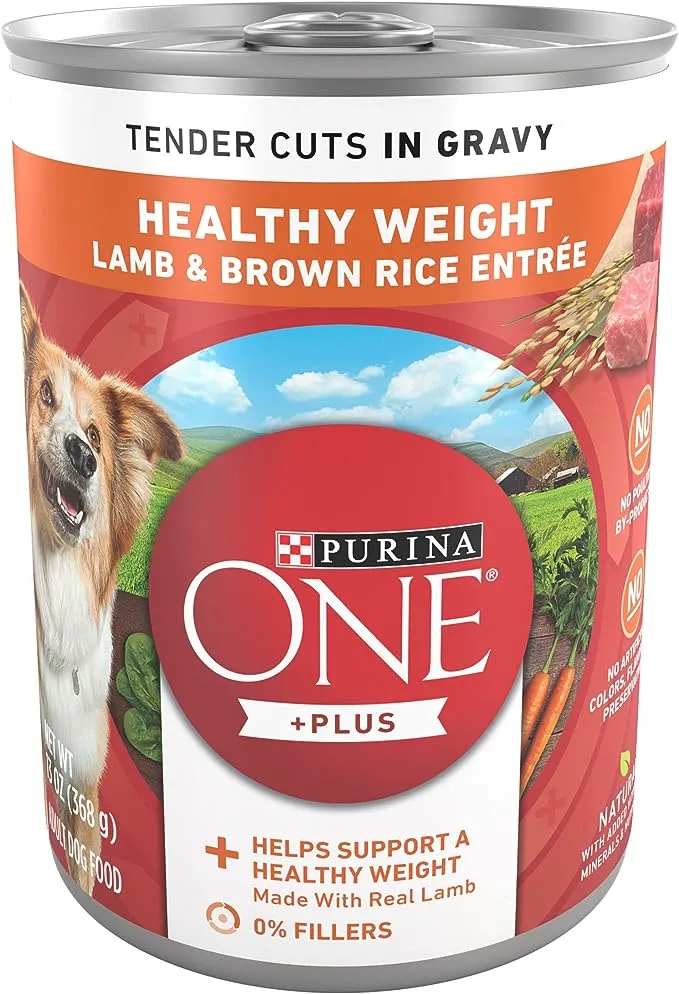 Purina One Smartblend True Instinct Classic Ground Real Beef & Bison Grain-Free Wet Dog Food, 13-oz Can, Case of 12