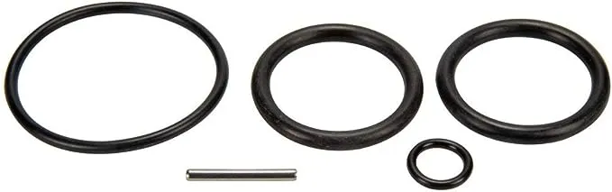 Pentair 263054 O-Ring Kit Push Pull Valve