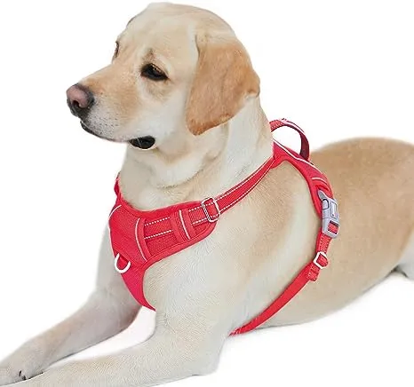 BARKBAY Dog Harness No Pull with ID Tag Pocket - Heavy Duty, Reflective, Easy Control for Large Dogs (Pink,L)