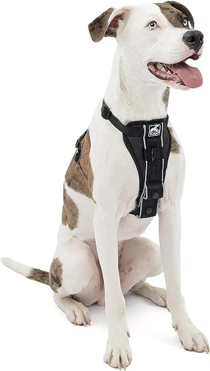 Kurgo Tru-Fit Smart Dog Walking Harness - Black - M