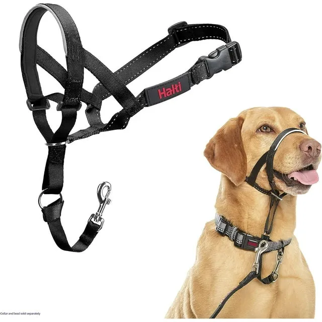 Halti Headcollar - to Stop Your Dog Pulling On The Leash. Adjustable, Reflective and Lightweight, with Padded Nose Band. Dog Training Anti-Pull