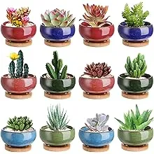 Lawei 12 Pack Ice Crack Succulent Pots with Bamboo Saucer - Ceramic Mini Cactus Plant Pots Flower Pots Container Planter for Home Garden Office Decoration